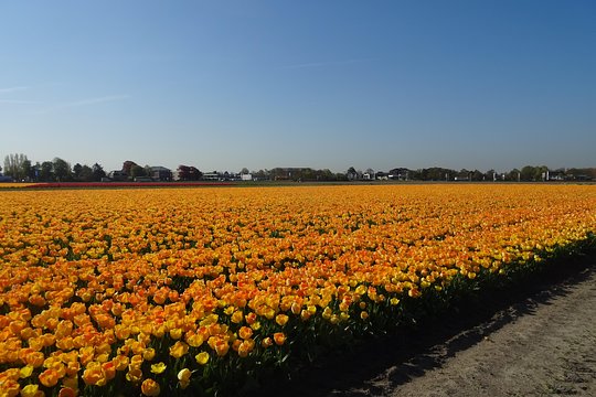 Tour image 2