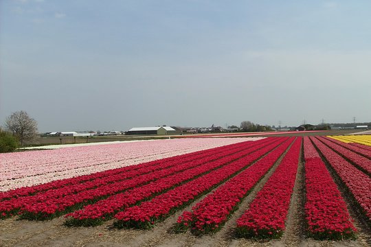 Tour image 5