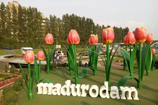Tour image 4