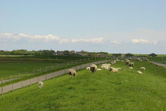 Tour image 7