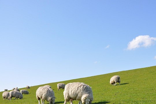 Tour image 10