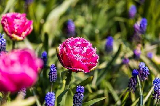 Tour image 7
