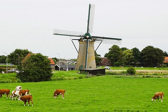 Tour image 11